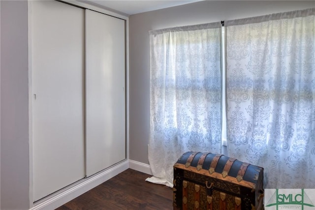 interior details with baseboards and wood finished floors