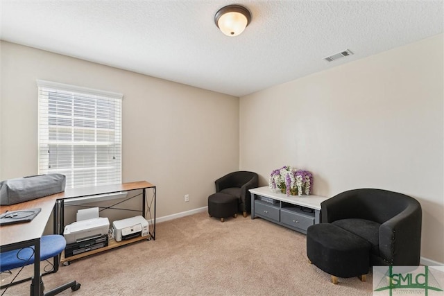 646 Red Oak Ln, Hinesville, GA 31313 - office area with light carpet, a textured ceiling, baseboards, and visible vents