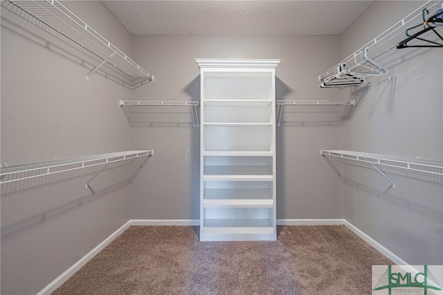 402 Walthour Dr, Rincon, GA 31326 - spacious closet featuring carpet floors