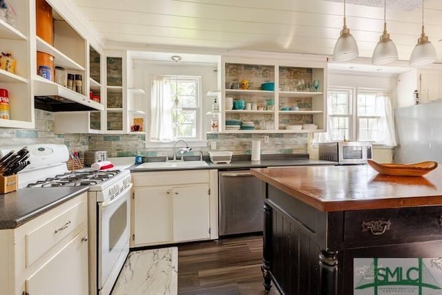 kitchen with a sink, open shelves, appliances with stainless steel finishes, under cabinet range hood, and decorative backsplash