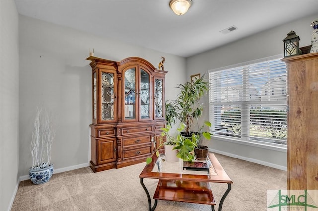 19 Salix Dr, Savannah, GA 31407 - photo 8