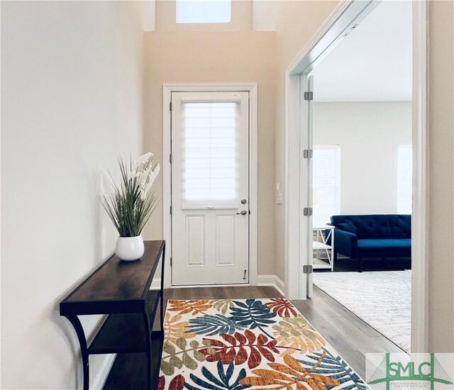 125 Long Creek Ln, Richmond Hill, GA 31324 - doorway to outside with wood finished floors