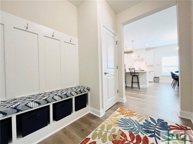 125 Long Creek Ln, Richmond Hill, GA 31324 - mudroom featuring light wood-style floors, baseboards, and recessed lighting
