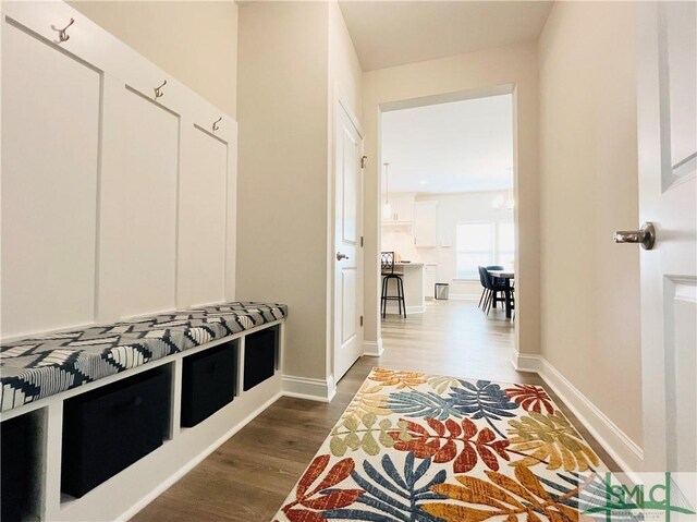 125 Long Creek Ln, Richmond Hill, GA 31324 - mudroom with wood finished floors and baseboards