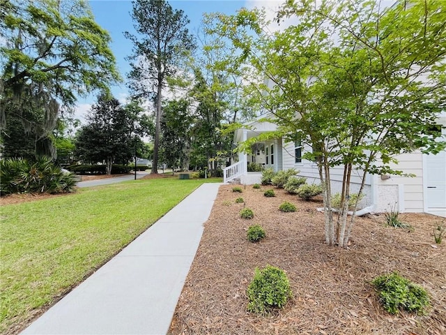125 Long Creek Ln, Richmond Hill, GA 31324 - view of green lawn