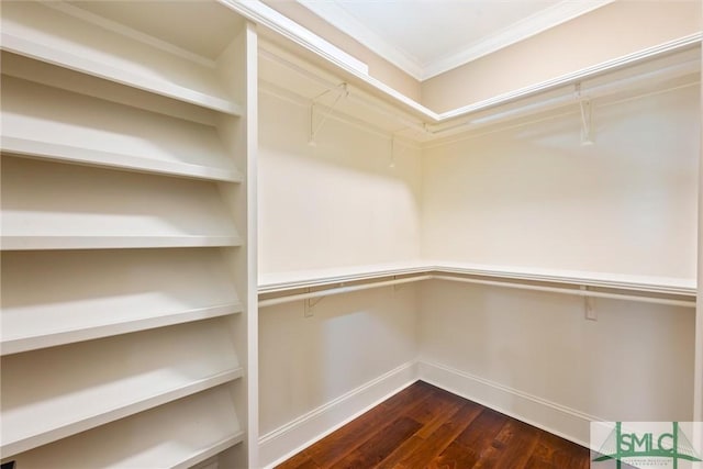 spacious closet featuring dark wood-style floors