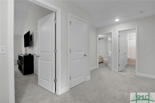 corridor with baseboards, carpet, and attic access
