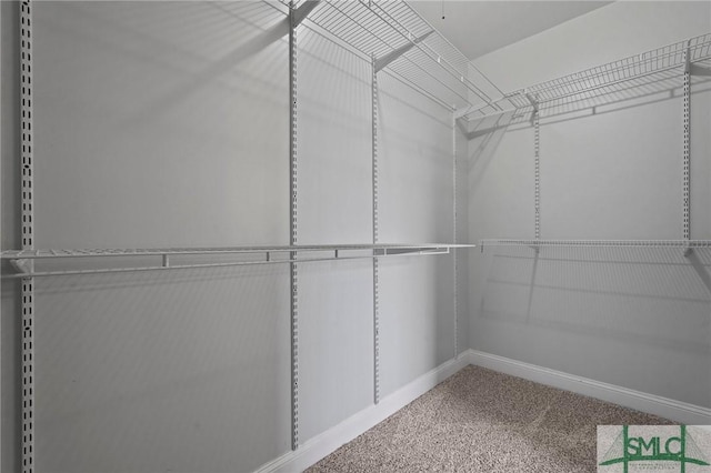 spacious closet with carpet