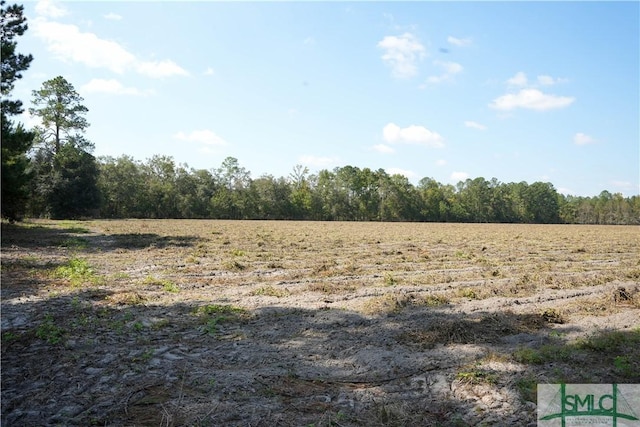 0 Floyd Rd Lot 7, Pembroke, GA 31321 - photo 2