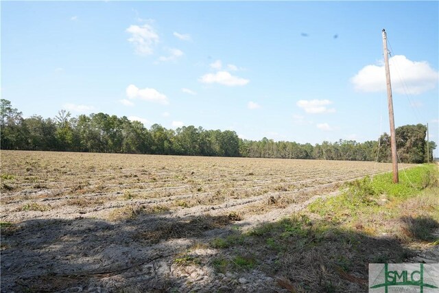 0 Floyd Rd Lot 7, Pembroke, GA 31321 - photo 3