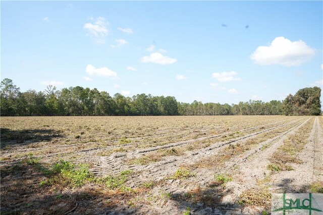 0 Floyd Rd Lot 7, Pembroke, GA 31321 - photo 5