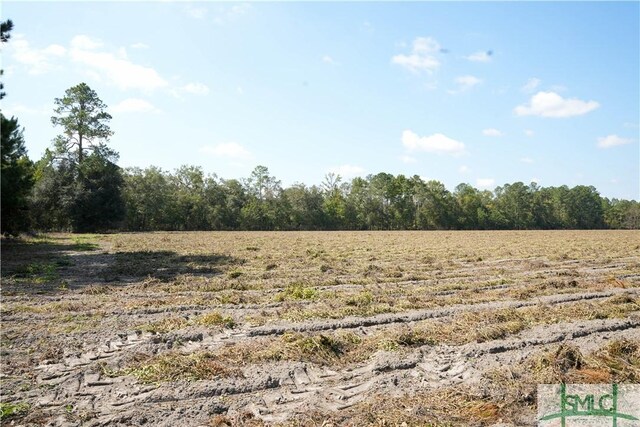 0 Floyd Rd Lot 7, Pembroke, GA 31321 - photo 7