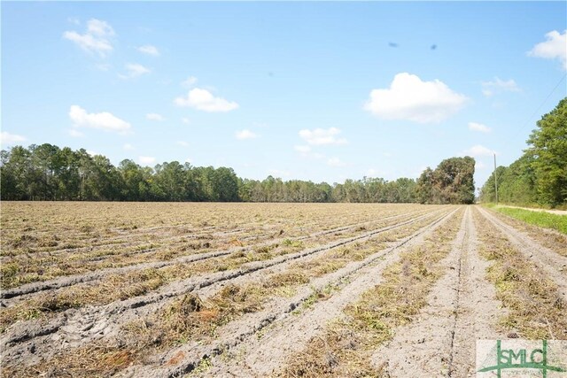 0 Floyd Rd Lot 7, Pembroke, GA 31321 - photo 8