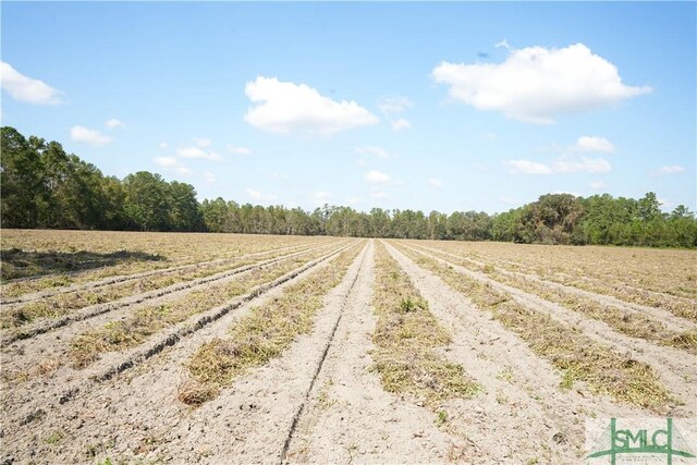0 Floyd Rd Lot 7, Pembroke, GA 31321 - photo 9
