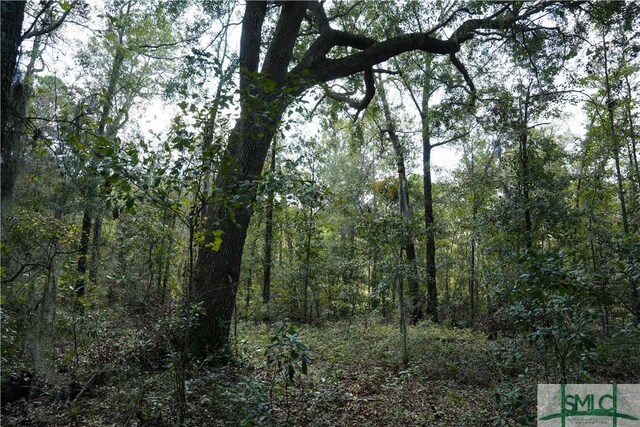 0 Floyd Rd Lot 7, Pembroke, GA 31321 - photo 14