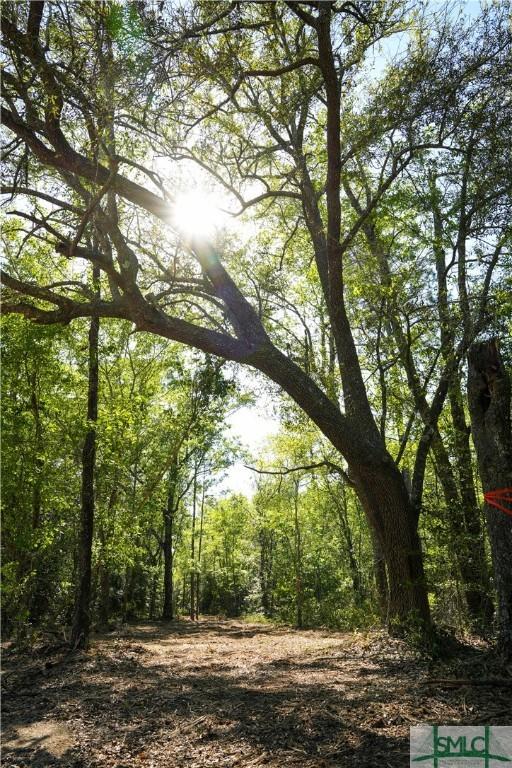 0 Floyd Rd Lot 9, Pembroke, GA 31321