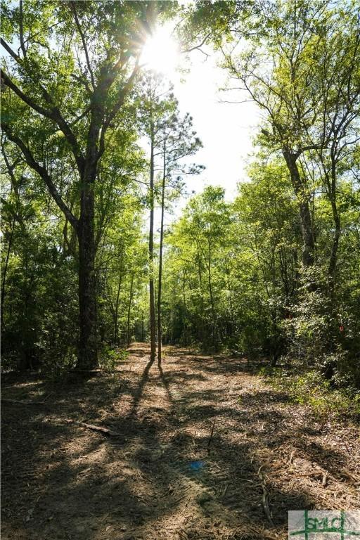 0 Floyd Rd Lot 9, Pembroke, GA 31321