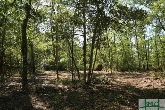 0 Floyd Rd Lot 9, Pembroke, GA 31321