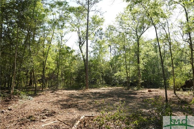 0 Floyd Rd Lot 9, Pembroke, GA 31321
