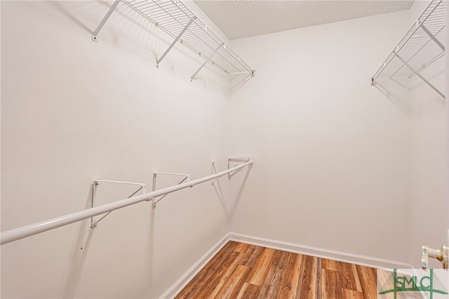 28 Raven Wood Way, Pooler, GA 31322 - walk in closet featuring light wood-type flooring