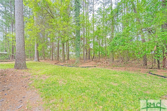 28 Raven Wood Way, Pooler, GA 31322 - view of yard