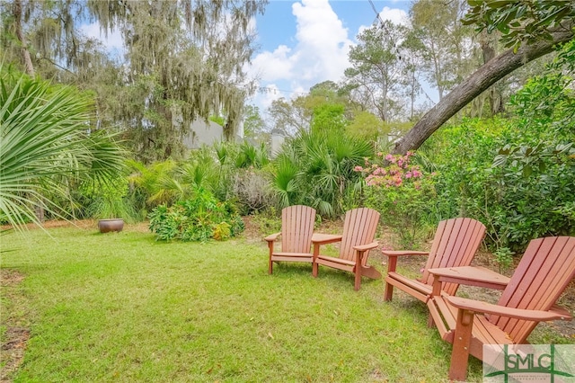 57 Delegal Rd, Savannah, GA 31411 - view of yard
