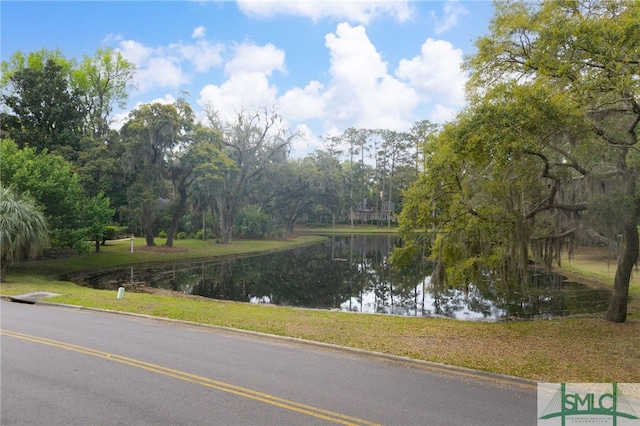 57 Delegal Rd, Savannah, GA 31411 - water view