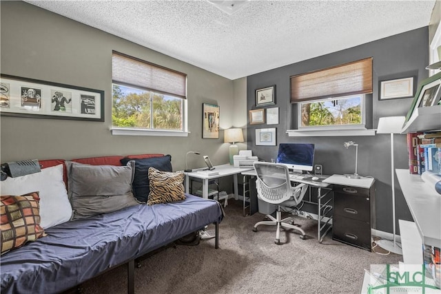 109 Seminole St, Savannah, GA 31406 - carpeted office space with a textured ceiling, baseboards, and plenty of natural light