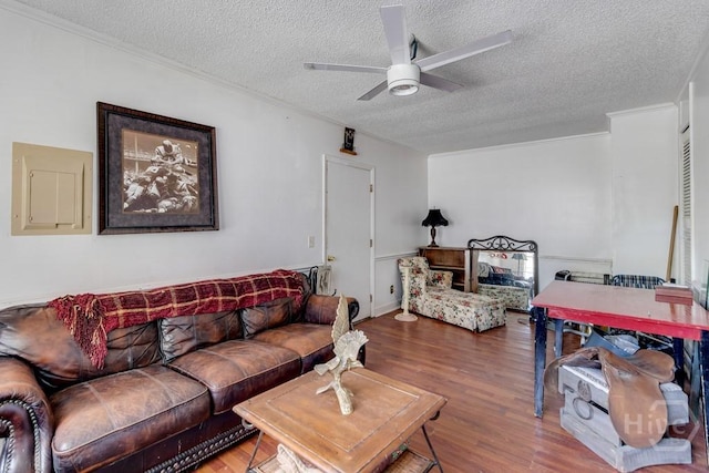 130 N Leeds Gate Rd, Savannah, GA 31406 - living room featuring ceiling fan, a textured ceiling, wood finished floors, and crown molding
