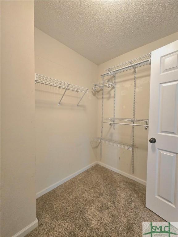 walk in closet featuring carpet