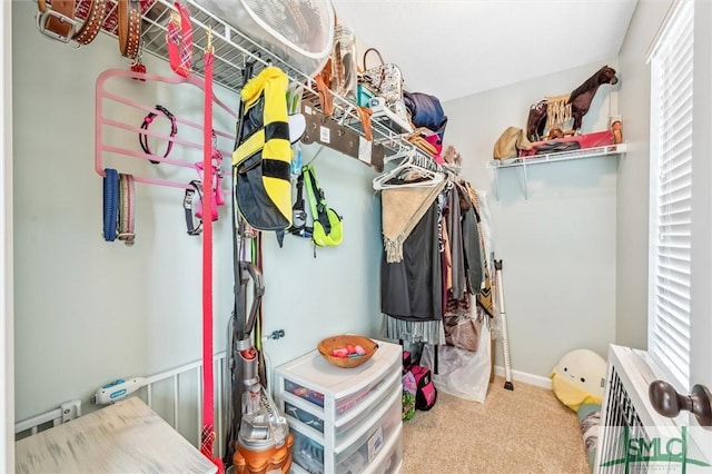 walk in closet featuring carpet