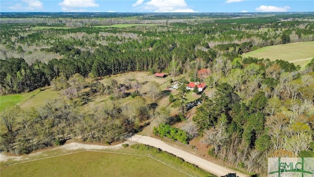 1505 Wilson Rd, Brooklet, GA 30415 - bird's eye view with a view of trees