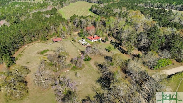 1505 Wilson Rd, Brooklet, GA 30415 - birds eye view of property featuring a rural view and a wooded view