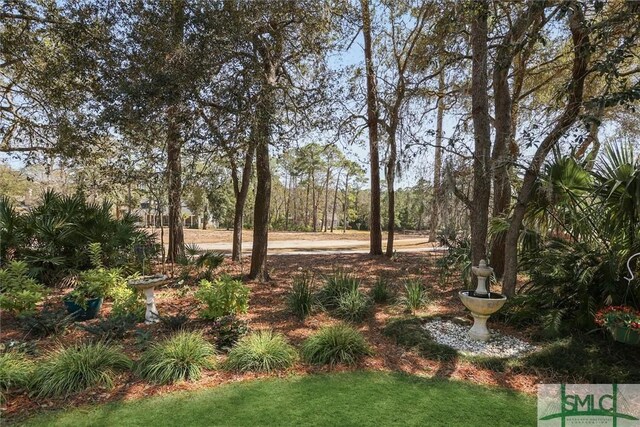 12 Tanaquay Ct, Savannah, GA 31411 - photo 45