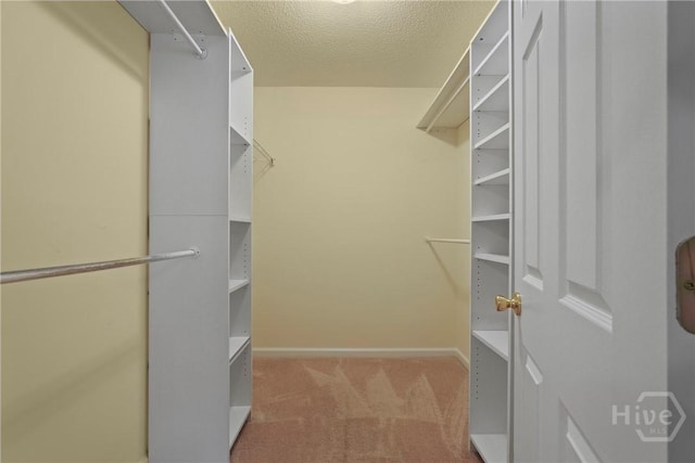 113 Sunrise Ln, Savannah, GA 31419 - photo 29