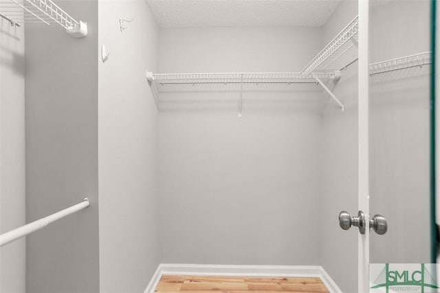 spacious closet featuring wood finished floors