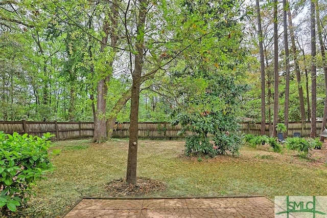view of yard featuring a fenced backyard