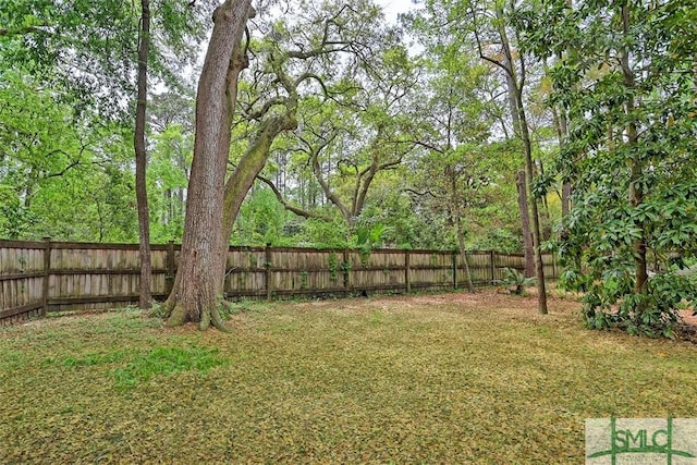 view of yard featuring a fenced backyard