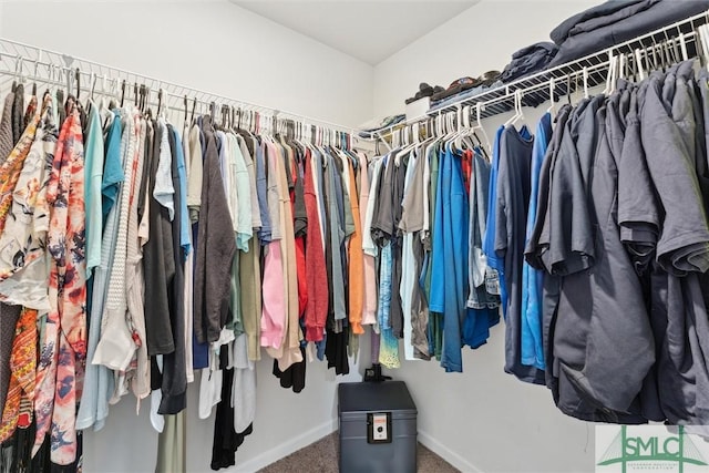 walk in closet with carpet flooring
