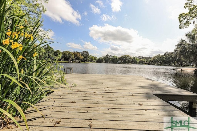 dock area with a water view