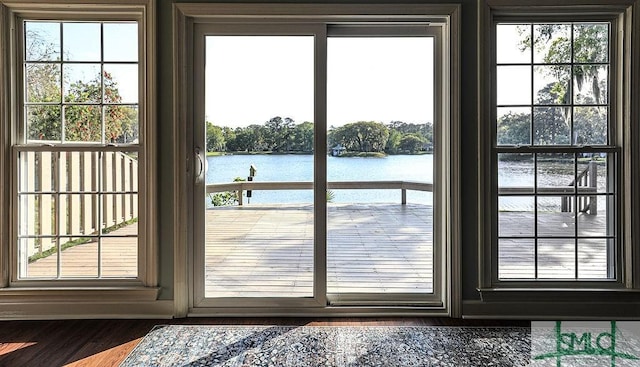 doorway with dark wood-style flooring, a wealth of natural light, and a water view