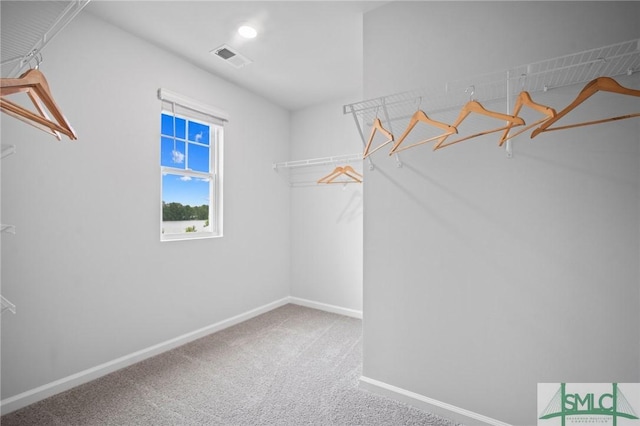 spacious closet with carpet and visible vents