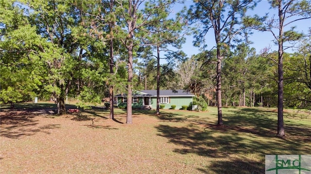 3411 Ponderosa Rd, Portal, GA 30450 - view of yard
