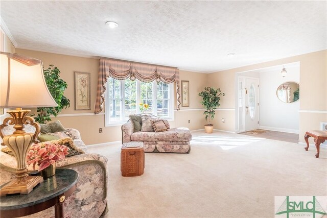 3411 Ponderosa Rd, Portal, GA 30450 - living room featuring a textured ceiling, carpet flooring, and baseboards