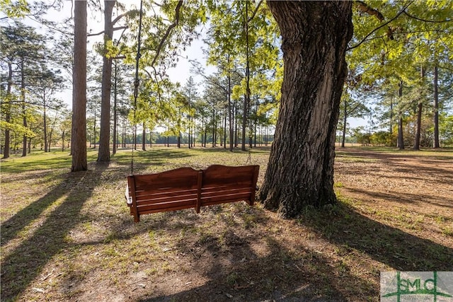 3411 Ponderosa Rd, Portal, GA 30450 - view of yard
