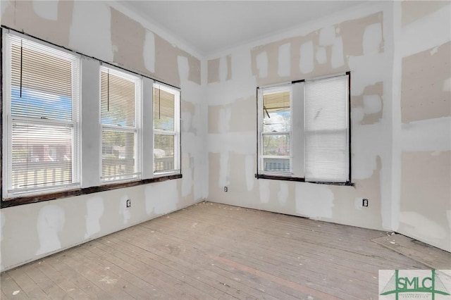 spare room with wood-type flooring