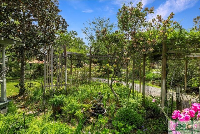 103 Church St, Bloomingdale, GA 31302 - view of nature