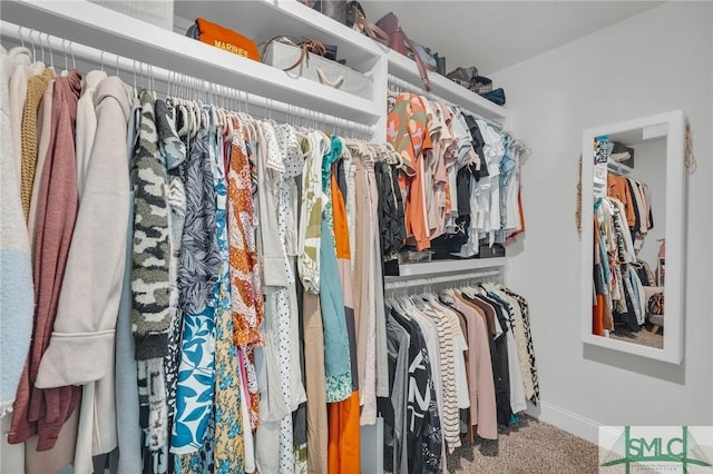 walk in closet with carpet floors