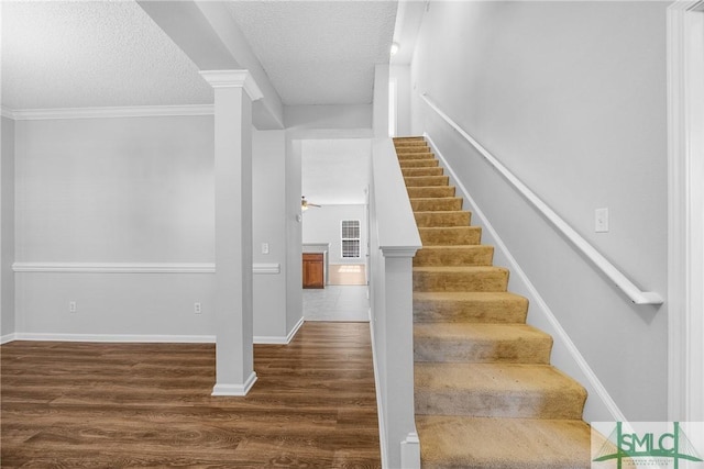 8 Falkland Ave, Savannah, GA 31407 - photo 7
