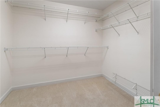 16 Oak Park Pt, Savannah, GA 31405 - walk in closet with carpet floors